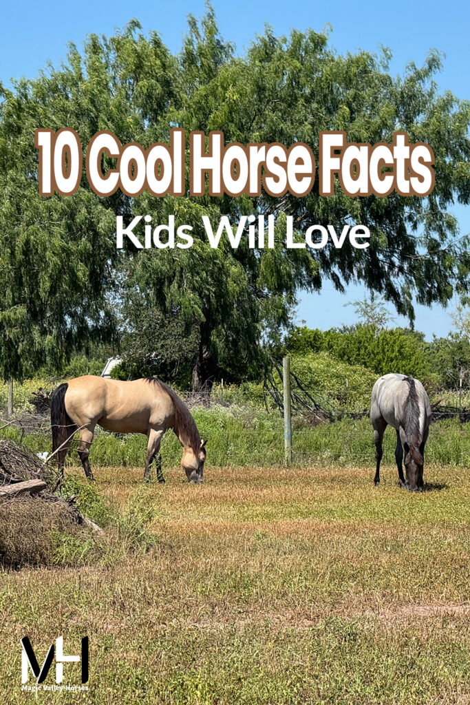 Two horses grazing with text that says 10 Cool Horse Facts Kids Will Love