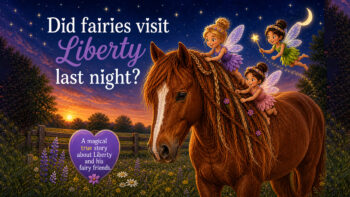 Red paint horse with tangled mane being braided by fairies under a starry night sky, inspired by the idea of “fairy knots” in horses