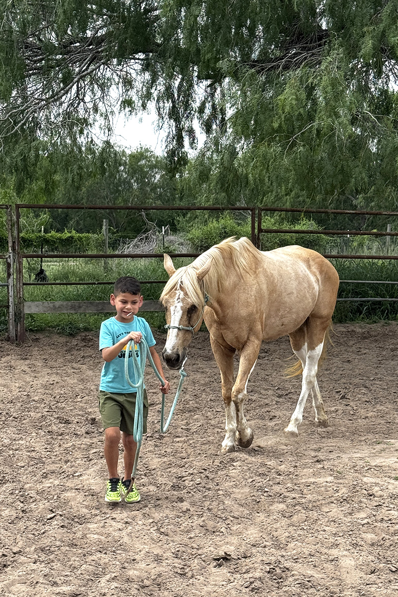 Child learning to lead a horse at Magic Valley Horses