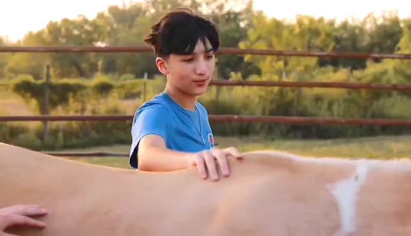 Teen participant interacting with a horse at Magic Valley Horses