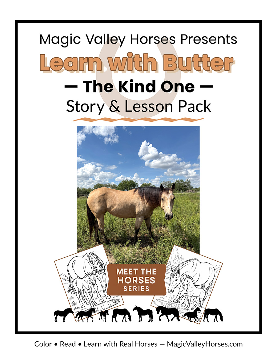 Learn with Butter activity pack cover preview