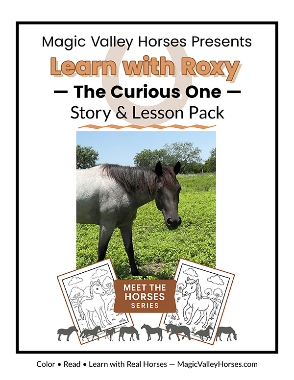 Learn with Roxy activity pack